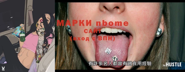 гашик Алексин