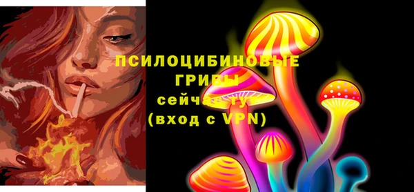 индика Алзамай
