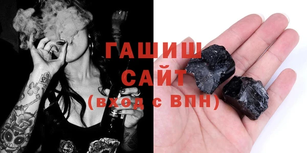 гашик Алексин