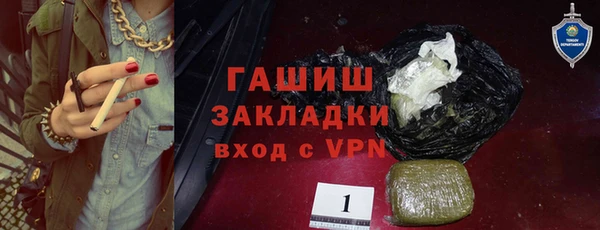 гашик Алексин