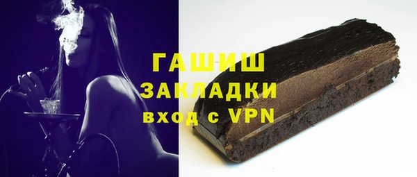 гашик Алексин