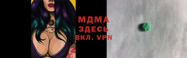 гашик Алексин
