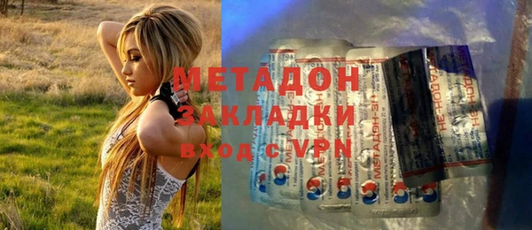 индика Алзамай