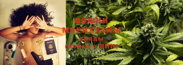индика Алзамай