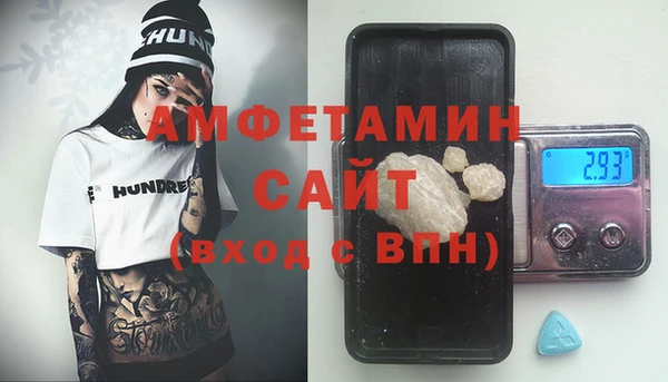 индика Алзамай