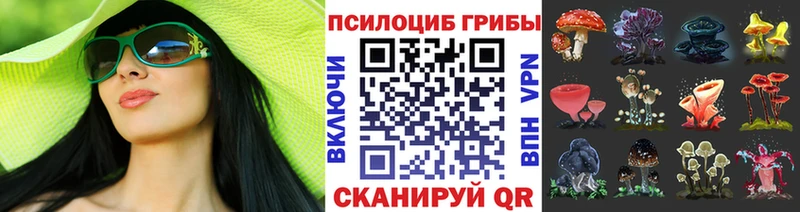 Галлюциногенные грибы Psilocybe Ардатов